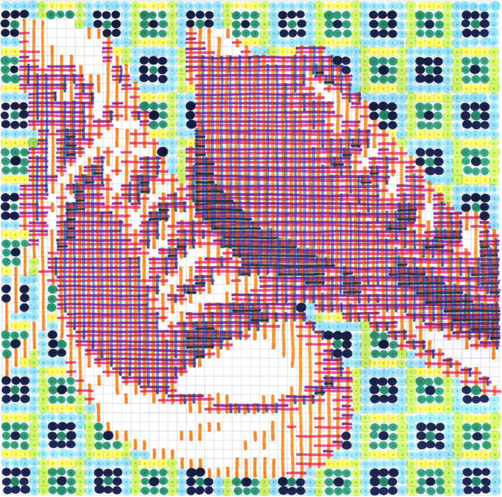 marker-drawn pixel image of converse high-top shoes, in reds with squares background